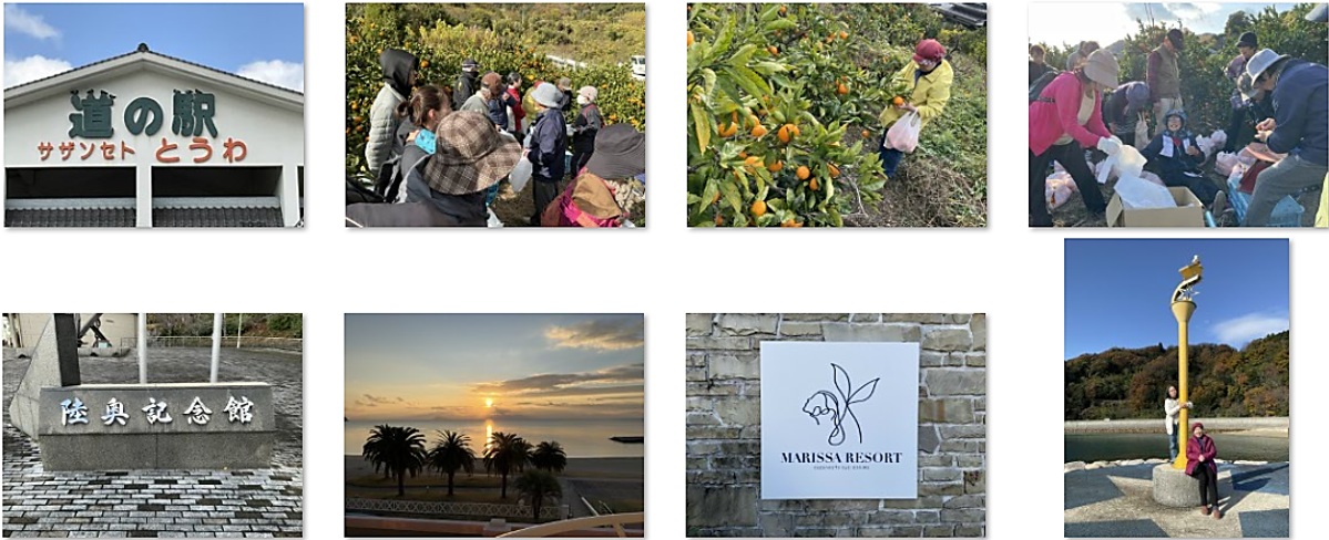 R7_山口通信三田会　ミカン狩り🍊